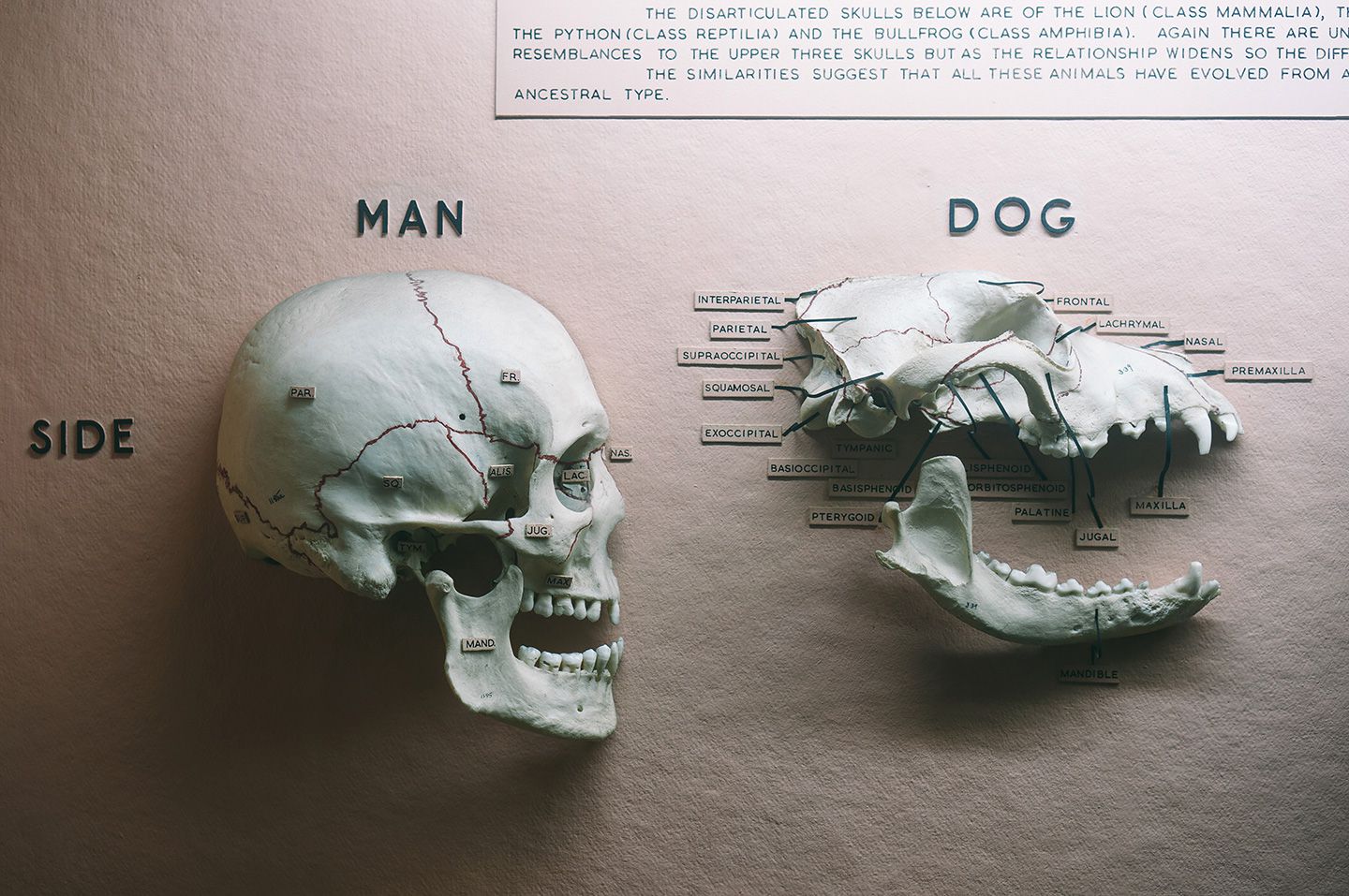 Horniman Museum <br>& Gardens